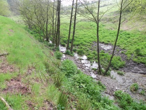 35-Flowing-through-Hazery-Plantation-4