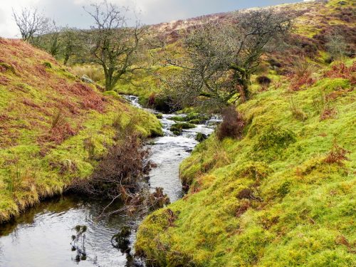 35.-Downstream-from-Colley-Water-3