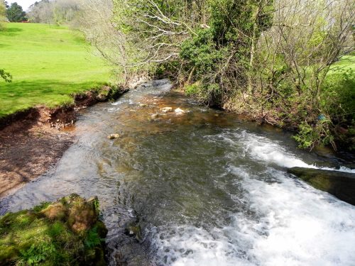35.-Downstream-from-Dunster-Castle-2