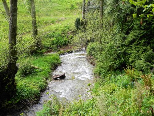35.-Downstream-from-Pitt-Cottage-4