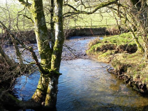 35.-Downstream-from-ROW-BRidge-3217-2