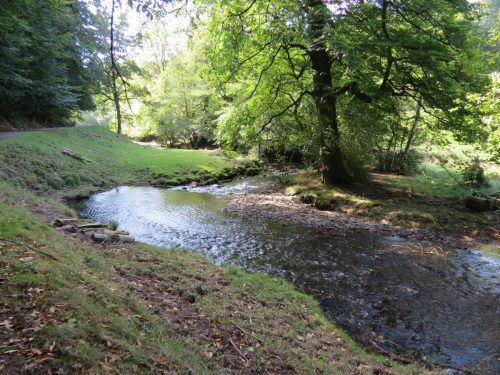 35.-Downstream-from-Riverside-Ford