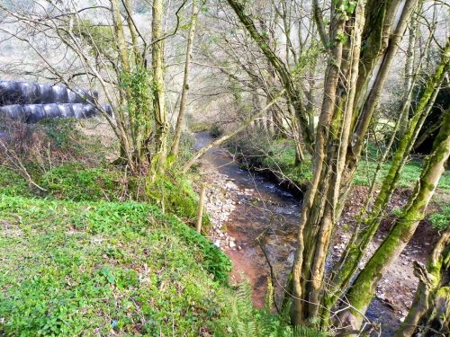 35.-Downstream-from-Steart-2