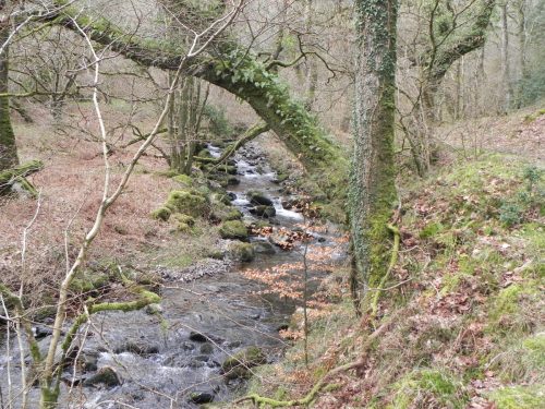 35.-Downstream-from-Stoke-Combe-Footbridge