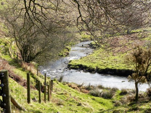 35.-Downstream-from-Wheal-Elisa-2