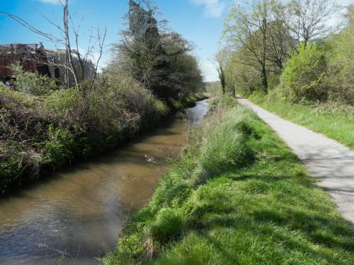 35.-Flowing-alongside-the-West-Somerset-Mineral-Railway-footpath