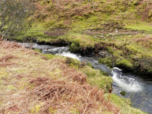35.-Flowing-below-Pig-Hill-2