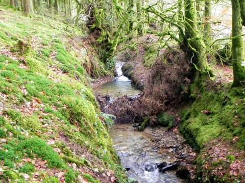 35.-Flowing-through-Beatland-Plantation-2