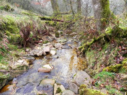 35.-Flowing-through-Mansley-Combe-2