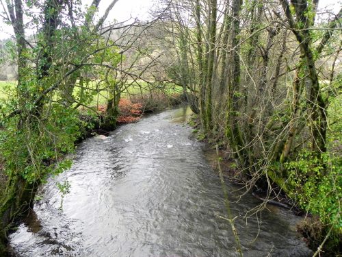 35.-Looking-downstream-from-Dyehouse-Bridge-2