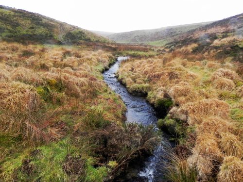 35.-Looking-downstream-from-Long-Combe-Footbridge-B-2