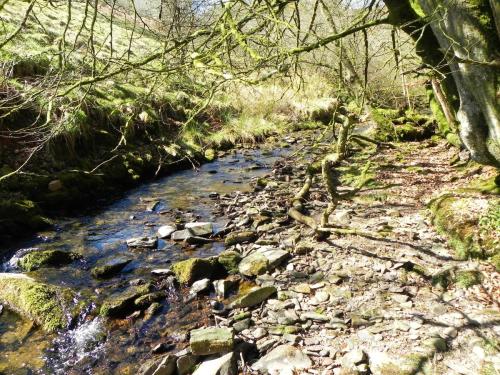35.-Stream-from-Molland-Common-flowing-to-join-Danes-Brook-2