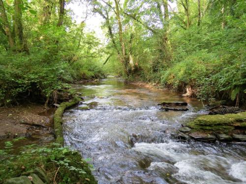 35.-Tracebridge-saw-mill-weir-2