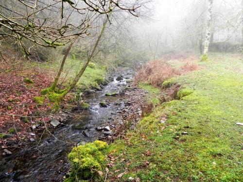 35.-Upstream-from-Aller-Combe-2