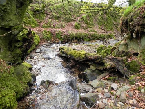 35.-Upstream-from-Holworthy-Ford-2