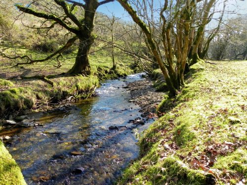 35.-Upstream-from-Smallcombe-Bridge-2