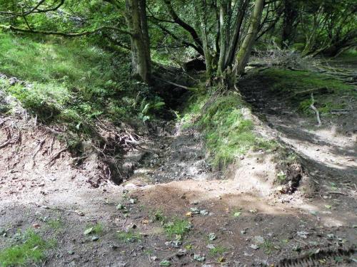 35.-West-bank-stream-joins-the-reservoir-2