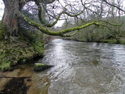 35a.-Downstream-from-Beasley-Mill-4