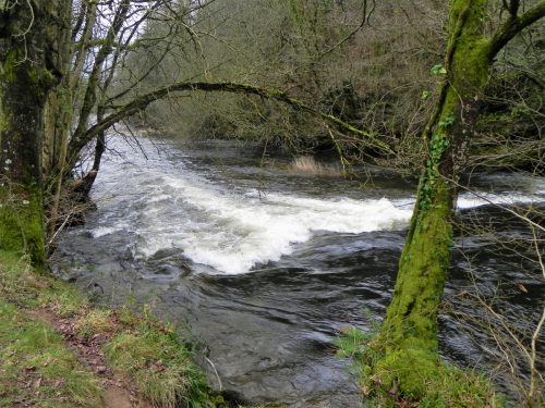 35a.-Downstream-from-Beasley-Mill-6