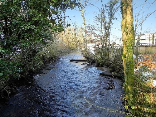 35a.-Looking-upstream-from-Yealscombe-Lane-Ford-2