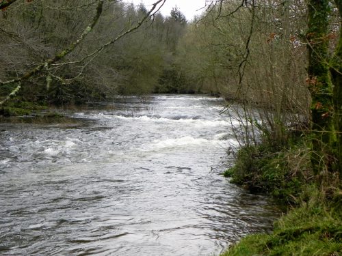 35b.-Upstream-from-New-Bridge-2