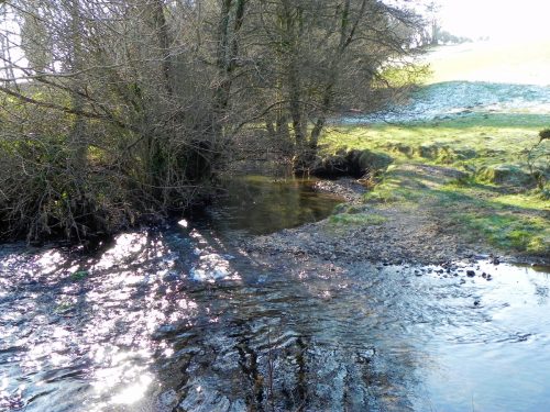 36.-Downstream-from-ROW-BRidge-3217-2
