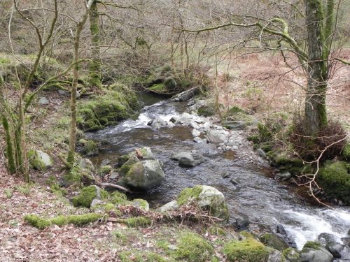 36.-Downstream-from-Stoke-Combe-Footbridge
