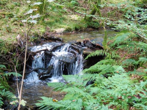 36.-Flowing-below-Beaters-Rocks-2