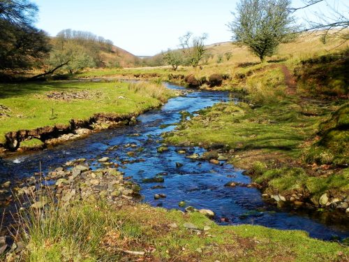36.-Flowing-below-Furzehill-Common-2