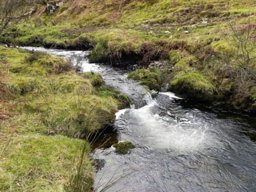36.-Flowing-below-Pig-Hill-2