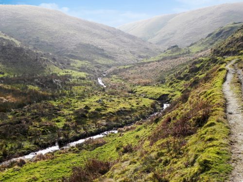 36.-Flowing-between-Hoar-Oak-Hill-and-Exe-Plain-2