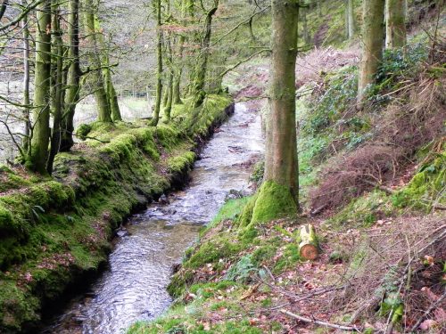 36.-Flowing-through-Beatland-Plantation-2
