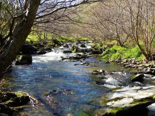 36.-Flowing-through-Heddons-Mouth-Cleave-2