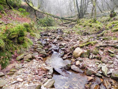 36.-Flowing-through-Mansley-Combe-2