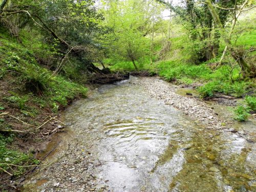 36.-Flowing-through-Parsons-Close-Plantation-5