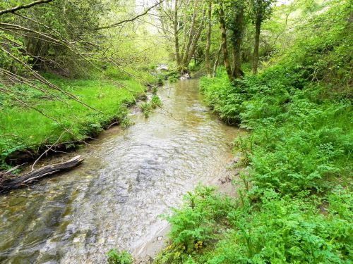 36.-Flowing-through-Parsons-Close-Plantation-6