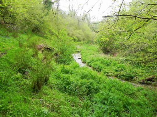 36.-Flowing-through-Parsons-Close-Plantation-7