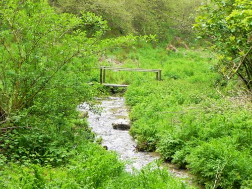 36.-Flowing-through-Parsons-Close-Plantation-8