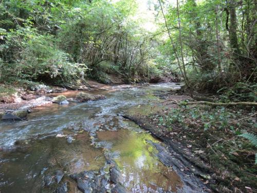 36.-Flowing-through-Weir-Copse