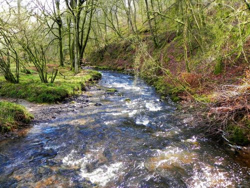 36.-Looking-downstream-from-Venford-Bridge-2