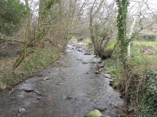 36.-Looking-upstream-from-West-Luccombe-ROW-footbridge