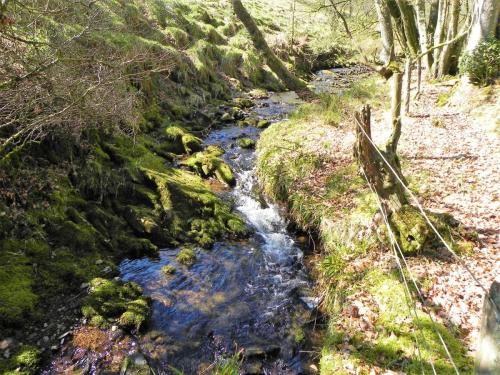 36.-Stream-from-Molland-Common-flowing-to-join-Danes-Brook-2