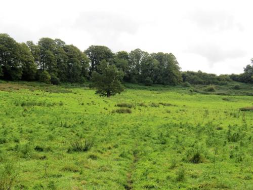 36.-Tone-Valley-between-Tracebridge-and-Greenham-2