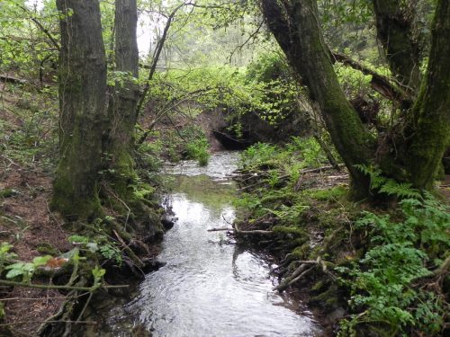 36.-Track-culvert-Hazery-Plantation