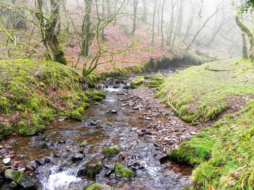 36.-Upstream-from-Aller-Combe-2