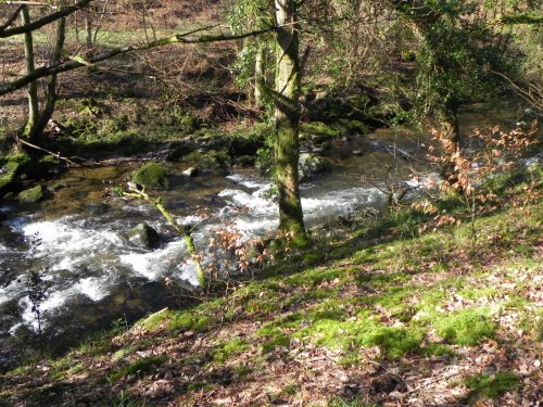 36.-Upstream-from-Ash-Bridge