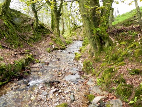 36.-Upstream-from-Holworthy-Ford-2