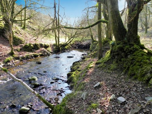 36.-Upstream-from-Smallcombe-Bridge-2