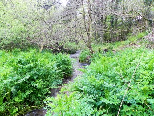 36.-Upstream-from-Upper-Pond-Cottages-4