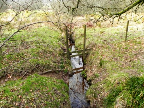 36.-Waters-join-from-Withypool-Common-2